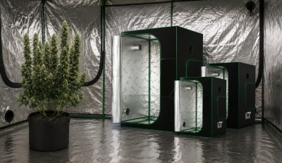 Cómo limpiar y desinfectar un armario de cultivo entre cosechas: protocolo paso a paso