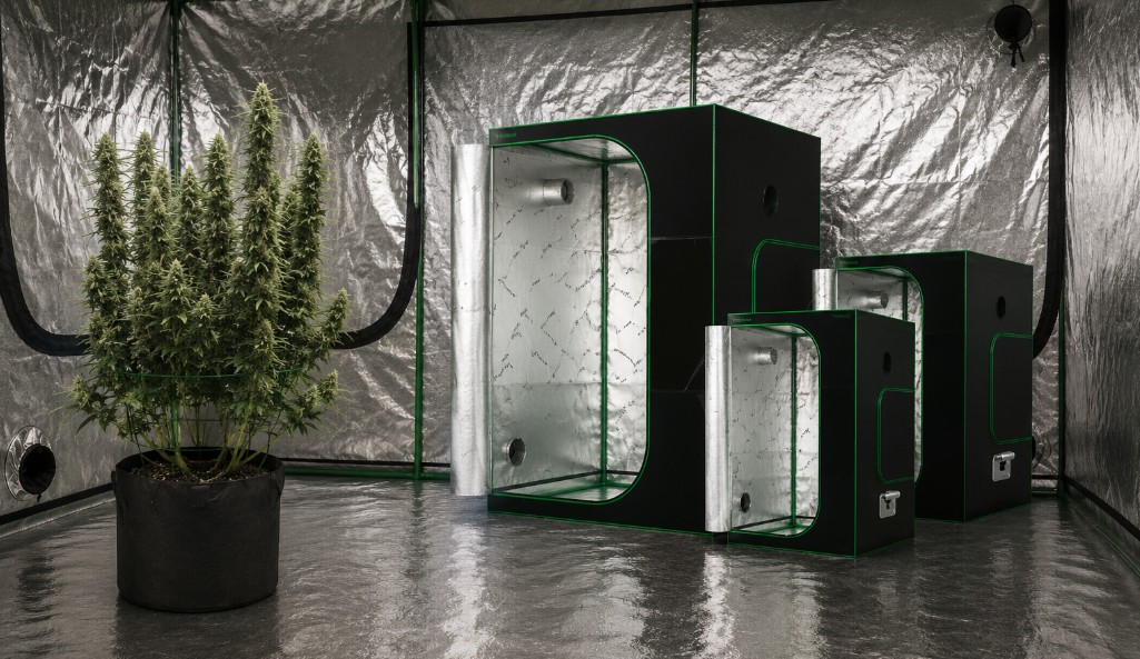 Cómo limpiar y desinfectar un armario de cultivo entre cosechas